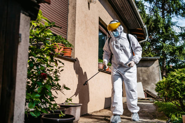 Best Residential Pest Control  in Mora, MN