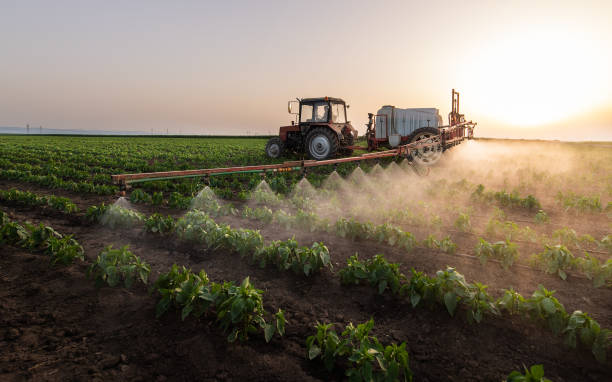 Professional Pest Control in Mora, MN