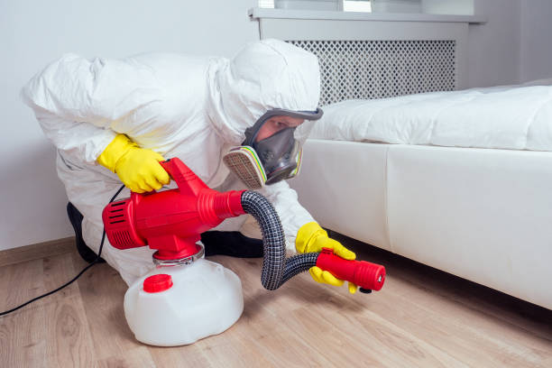 Best Pest Control for Businesses  in Mora, MN