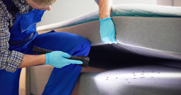 Best Best Pest Control Companies  in Mora, MN