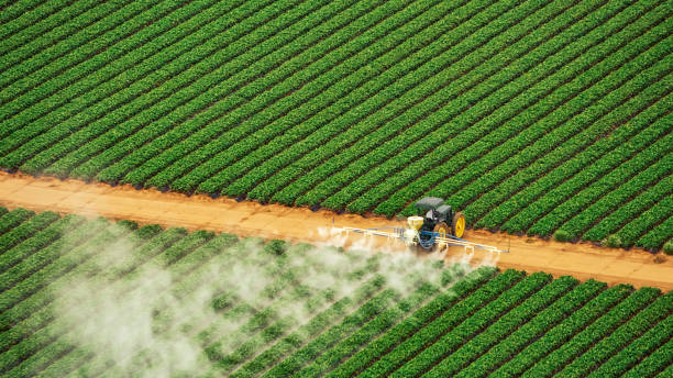 Best Mosquito Control Services  in Mora, MN