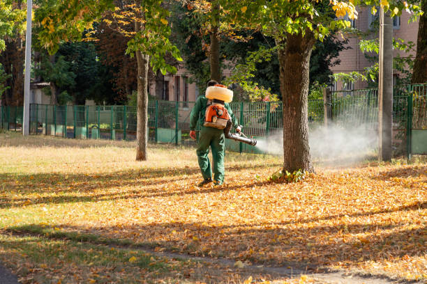Best Pest Prevention Services  in Mora, MN