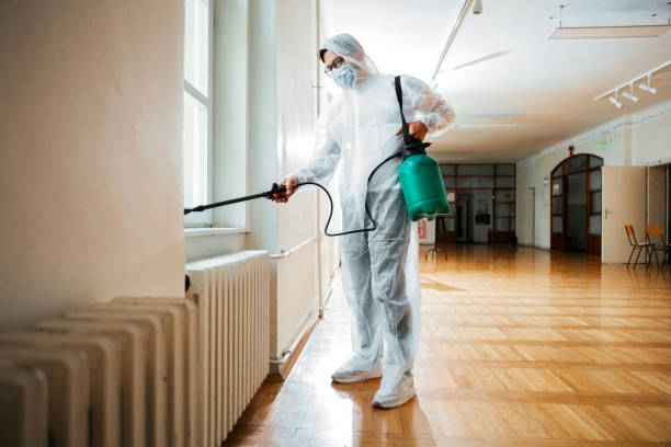 Best Wasp Removal Services  in Mora, MN