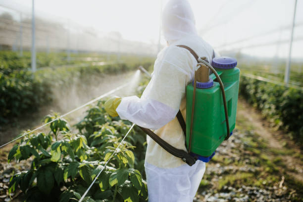 Best Emergency Pest Control  in Mora, MN